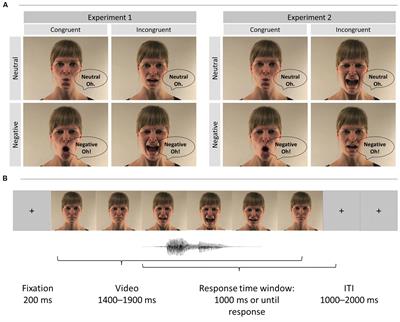The Influence of Negative Emotion on Cognitive and Emotional Control Remains Intact in Aging